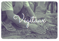 atelier enfant jardinage et végétal
